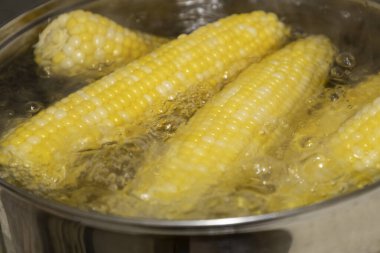 Kaynamış bir tencerede mısır koçanları. Tencerede mısır pişiriyorum. Koçanda lezzetli mısır.