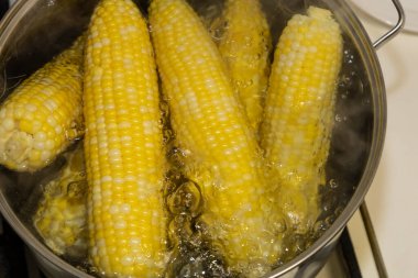 Kaynamış bir tencerede mısır koçanları. Tencerede mısır pişiriyorum. Koçanda lezzetli mısır.