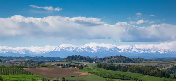 Piedmont Χώρες Και Λόφοι Astigiano Και Ορειβάτες Alpi Στο Παρασκήνιο Royalty Free Εικόνες Αρχείου