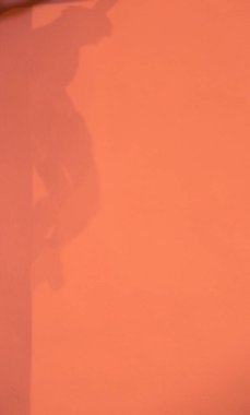 Katolik kilisesinin duvarındaki gölge. Sınavın için yer var. Turuncu renk.