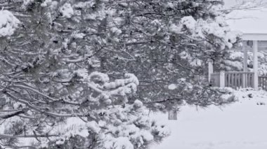 Kış ayarı, Noel karında ahşap kulübe, her zaman yeşil olan köknar ağaçlarının üzerine düşen kar, kardaki Noel ladin ağacı, yeni yıl konsepti, kış geçmişi.