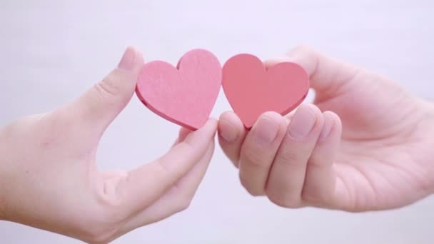 Closeup Female Male Hands Holding Red Hearts Isolated White Pastel — 비디오