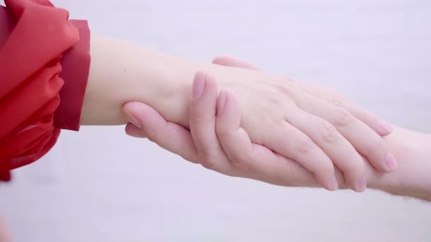 Closeup Female Male Hands Holding Red Heart Isolated White Pastel — Video