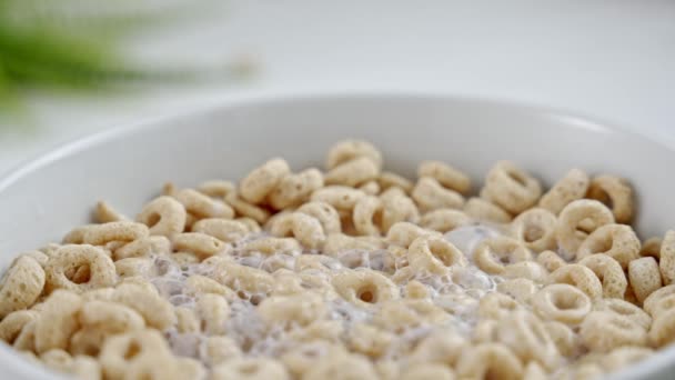 Whole Grain Cereal White Dairy Foam White Bowl Cereal Milk — Wideo stockowe