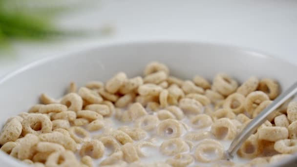 Eating Whole Grain Cereals Milk Healthy Breakfast Spoon Mixing Breakfast — Vídeo de Stock