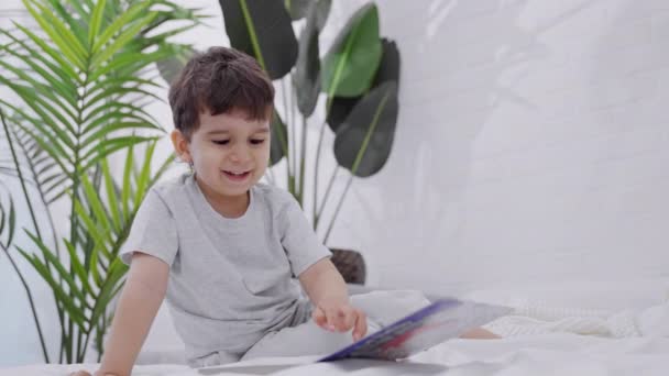 可爱的白人小男孩在看一本书 学龄前微笑的孩子坐在床上看故事书中的图片 托德勒在家里的床上看书 — 图库视频影像