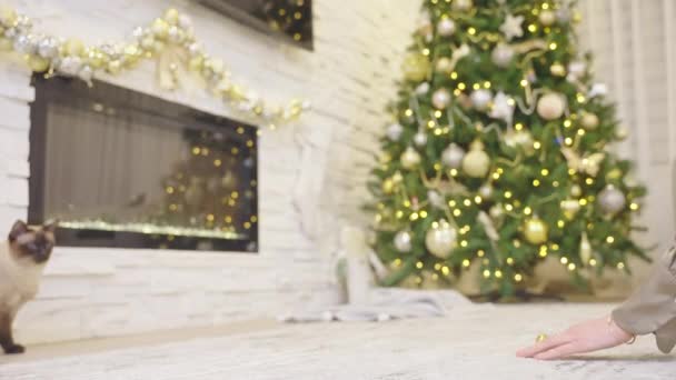 圣诞节背景下 可爱的猫在玩圣诞球 用圣诞树 壁炉和礼物装饰现代房子的一角 度假时舒适的家 慢动作没有人 — 图库视频影像