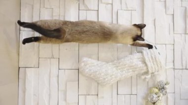 Noel arkaplanında Noel toplarıyla oynayan sevimli bir kedi. Modern evin köşesinde Noel ağacı, şömine ve hediyeler var. Tatillerde sıcak bir ev. Ağır çekim. Kimse yok.. 