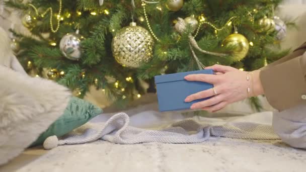 Frau Legt Geschenkbox Unter Geschmückten Weihnachtsbaum Für Liebste — Stockvideo