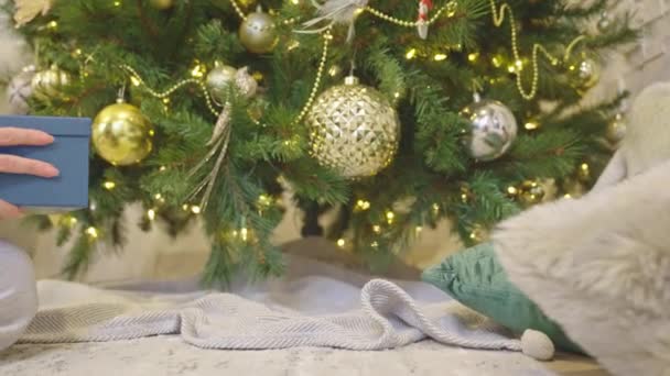 Mujer Colocando Una Caja Regalo Debajo Del Árbol Navidad Decorado — Vídeo de stock