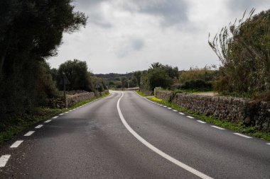 Yol, bitki örtüsü arasında boş asfalt yolu