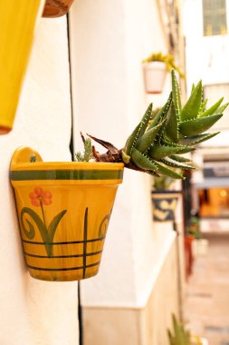 İspanya, Menorca 'da bir duvarda renkli bir saksı