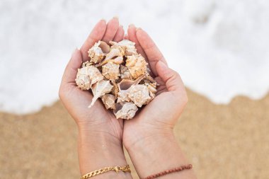 Avuçlarında deniz kabukları tutan bir kadın.