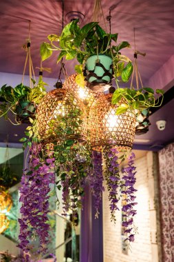 Bitkilerle dekoratif asılı lamba. İç dekorasyon 