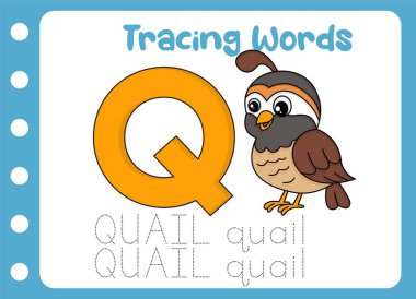 Tatlı bıldırcın kelimesinin izini sürüyorum. hayvan eğitimi oyunu