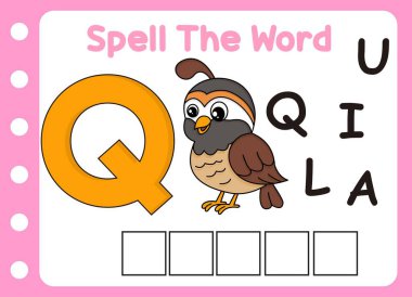 Tatlı bıldırcın kelimesini hecele. Q harfli küçük şirin bıldırcın.