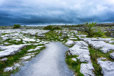 Clare ilçesindeki Karstik Geopark 'taki Burren, kireçtaşı kaldırımı.