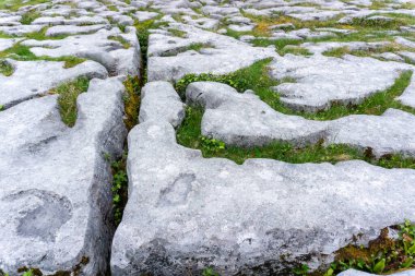 Clare ilçesindeki Karstik Geopark 'taki Burren, kireçtaşı kaldırımı.