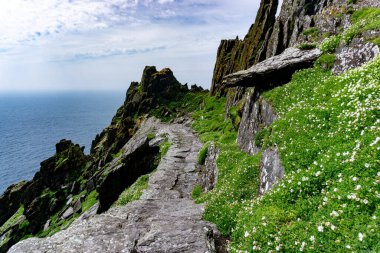 Skellig Michael İrlanda 'da güneşli bir günde Kelt manastırı yerleşimi