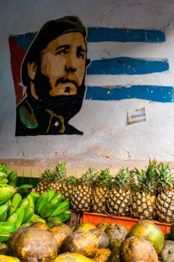Havana 'nın göbeğindeki yerel bir Küba pazarının renkli ve canlı atmosferini sergiliyor.