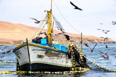 Paracas 'ta teknelerde balıkçılık yapan balıkçılar deniz ve doğa manzaralı, Peru kıyı manzaralı.