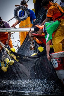 Paracas 'ta teknelerde balıkçılık yapan balıkçılar deniz ve doğa manzaralı, Peru kıyı manzaralı.