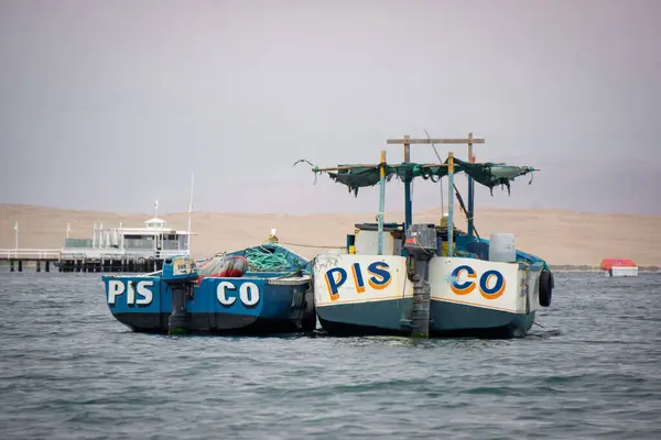 Paracas 'ta deniz ve doğa manzaralı balıkçı tekneleri Peru kıyı manzarası