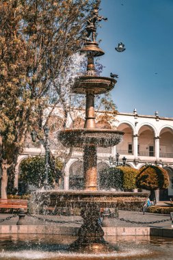 Arequipa Peru 'nun Armas Meydanı' nda tarihi merkezde sömürge mimarisi, yemyeşil ve canlı bir kültür bulunmaktadır.