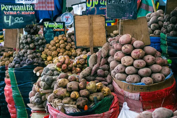 Canlı bir Peru pazarı, farklı patates çeşitlerini, eşsiz şekilleri, renkleri ve tarımsal mirası temsil eden dokuları gösteriyor.