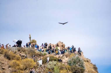 Ziyaretçiler, Colca Kanyonu Peru 'daki Mirador del Condor' da bir akbabayı gözlemlemek üzere bir araya geldiler.