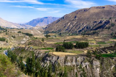 Colca Canyon Peru 'nun nefes kesici And manzaraları ve dramatik derin vadileriyle doğal harikası.