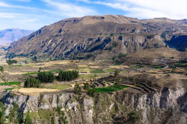 Colca Canyon Peru 'nun nefes kesici And manzaraları ve dramatik derin vadileriyle doğal harikası.