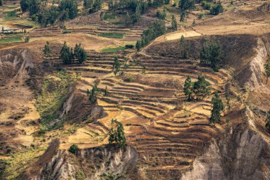 Colca Kanyonu Peru, ikonik engebeli manzaraları ve nefes kesici doğa harikaları manzaralarıyla fotoğraflandı.
