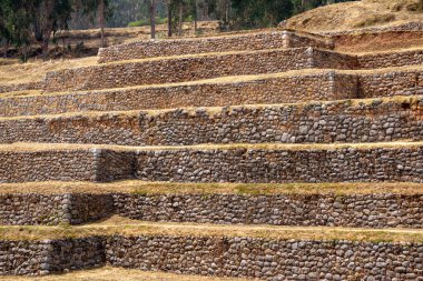 Peru 'daki kutsal Chinchero Vadisi tarım terasları And Dağları' ndaki sürdürülebilir tarım uygulamalarını temsil etmektedir.