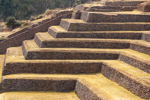 Peru 'daki kutsal Chinchero Vadisi tarım terasları And Dağları' ndaki sürdürülebilir tarım uygulamalarını temsil etmektedir.