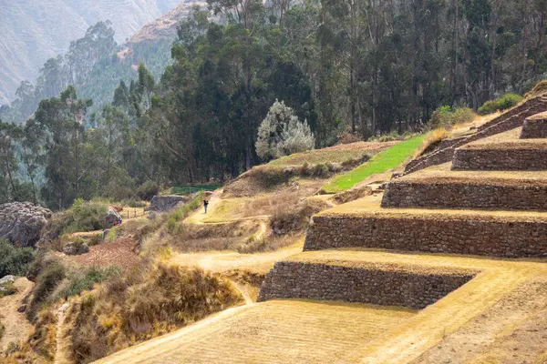 Chinchero Peru 'daki antik İnka terasları tarih kültürü ve nefes kesici kırsal manzaraların çarpıcı bir karışımı.
