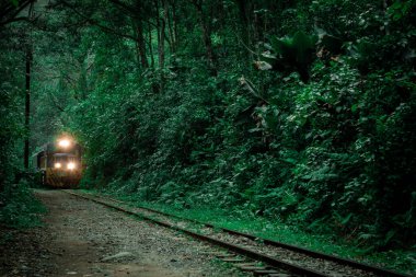 Machu Picchu 'ya muhteşem bir tren yolculuğu ve yemyeşil bir orman.