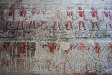 Mısır 'da bir tapınak duvarındaki antik Mısır hiyeroglif yazıtlarının detaylı görüntüsü