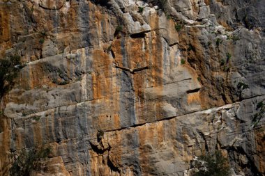 İnanılmaz Vahşi Yaşam Kayalıkların Üzerinde Uçan Akbaba Vuruldu De Las Buitreras Kanyonu Malaga İspanya
