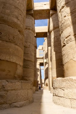 Rows of Monumental Sandstone Columns in the Inner Courtyard of Luxor Temple Reflecting Ancient Egyptian History clipart