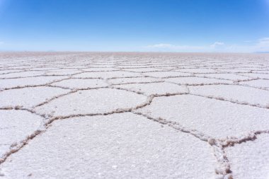 Bolivya 'daki Uyuni Tuzu' nun uçsuz bucaksız ufku kuru mevsim altıgen dokularını ve saf beyaz tuz kabuğunu gösteriyor.