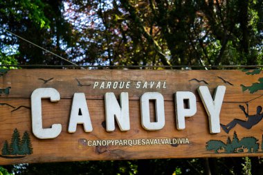 Güney Şili 'de Çevre Turizmini Vurgulayan Parque Saval Valdivia Şili' ye Hoş Geldiniz