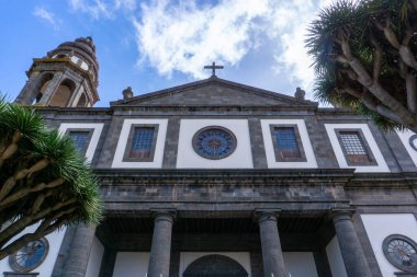 Tenerife, İspanya 'da San Cristobal De La Laguna' nın Tarihi Katedrali, Doğal Karşıtlık Ekleyen Ejderha Ağacı ile Neoklasik Mimarisini Gösteriyor