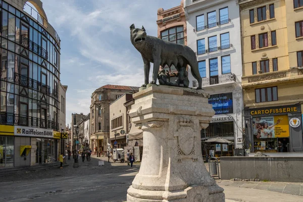 Bucareste Romênia Réplica Escultura Bronze Lobo Capitolino Lupa Capitolina Retratando — Fotografia de Stock
