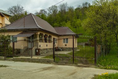 Romanya 'nın Prahova Vadisi' nden canlı yaz manzaraları