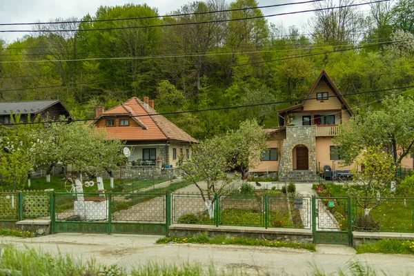 Živé Letní Pláštěnky Údolí Prahova Rumunsko — Stock fotografie