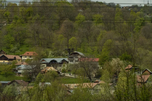 Яркие Летние Скайпы Праговской Долины Румыния — стоковое фото