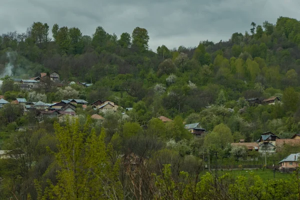 Levande Sommarlandskap Från Prahova Valley Rumänien — Stockfoto