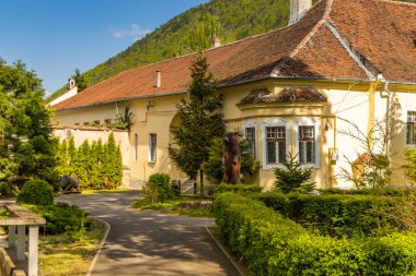BRASOV, ROMANIA. Europa. Silvikür ve Orman Mühendisliği Fakültesi önündeki ahşap heykel.