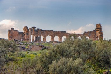Volubilis, Fas - turistik cazibe ve Meknes yakınlarındaki bir Roma arkeolojik alanı. Volubilis, Fas bir UNESCO Dünya Mirası ve Roma İmparatorluğu 'nun iyi korunmuş bir sömürge kentidir..